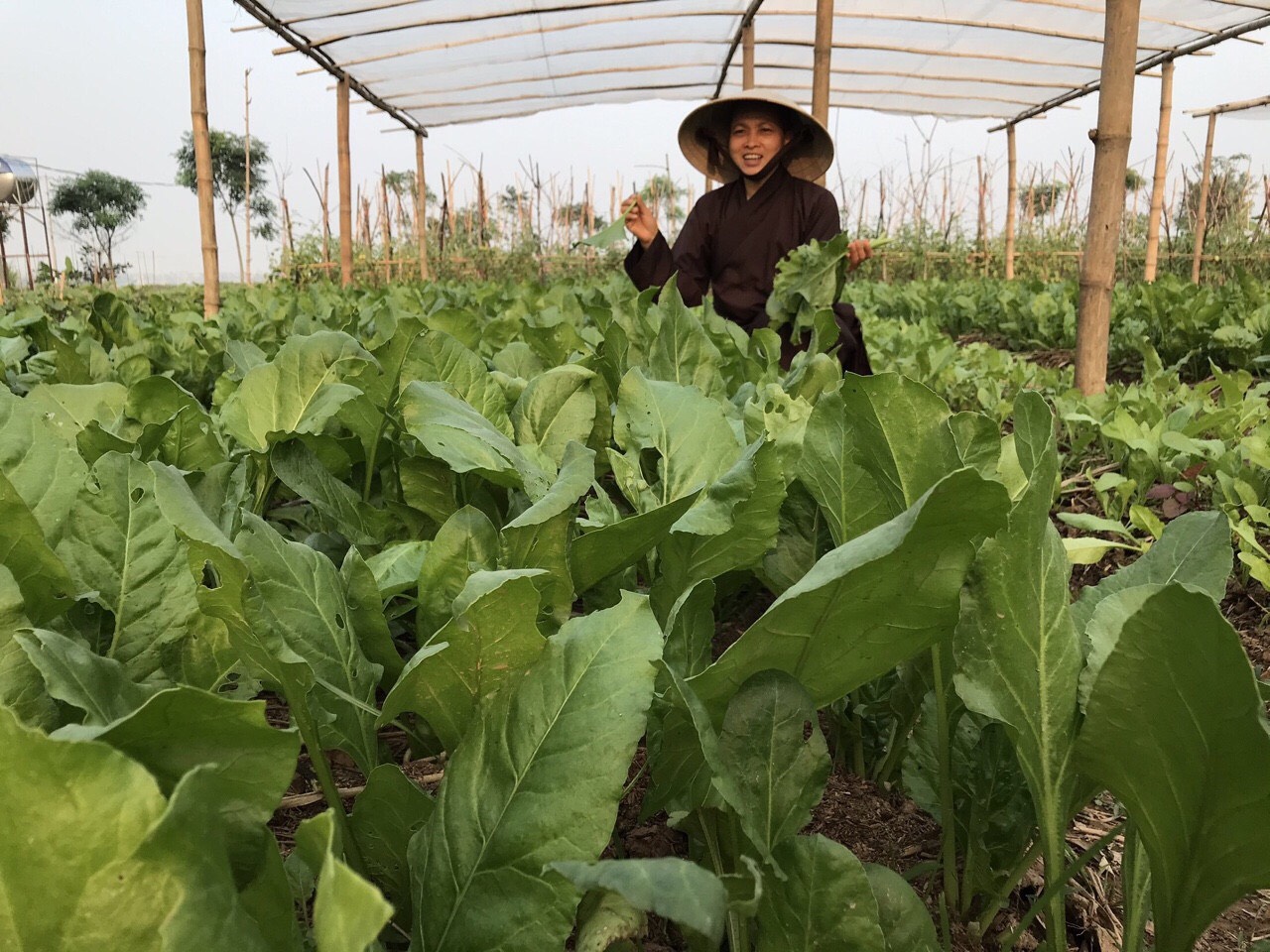Ni sư truyền cảm hứng cho các hoạt động thiện nguyện
